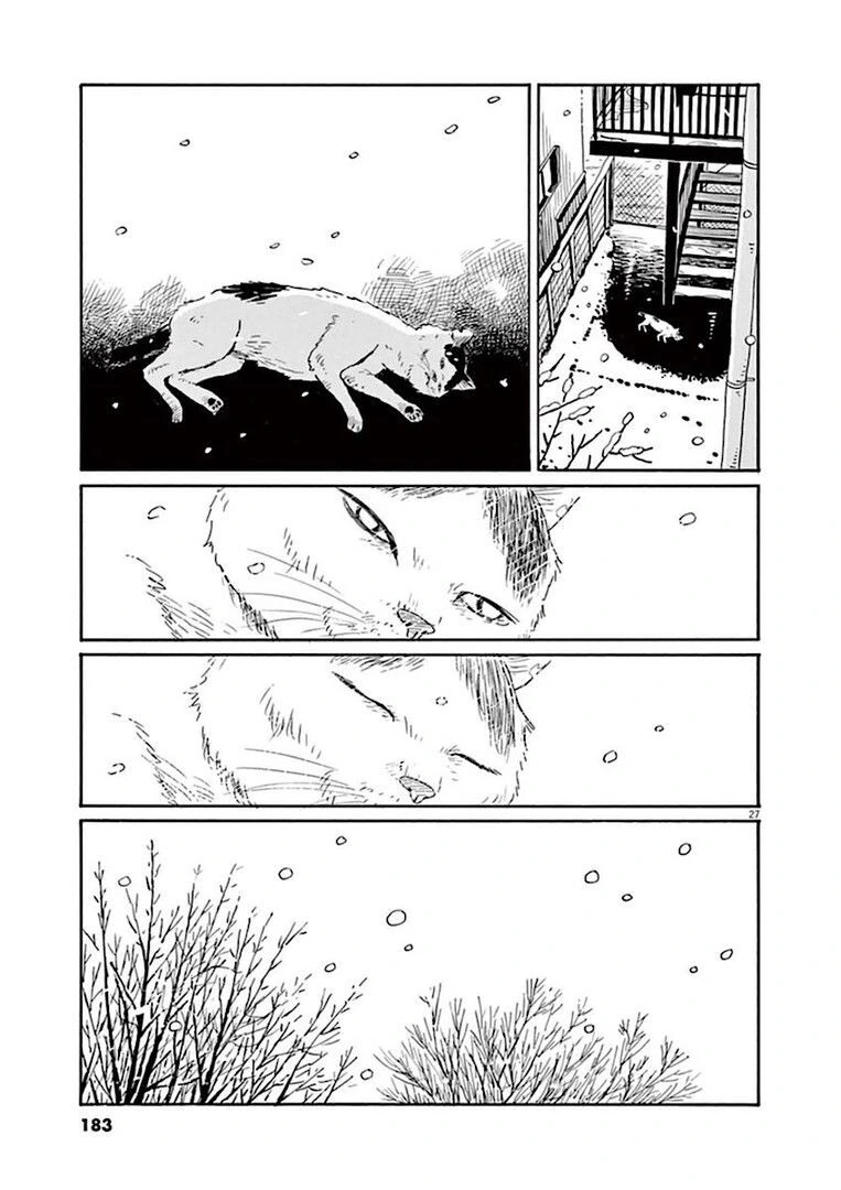 집고양이 분짱의 일년.manga - 이미지 27