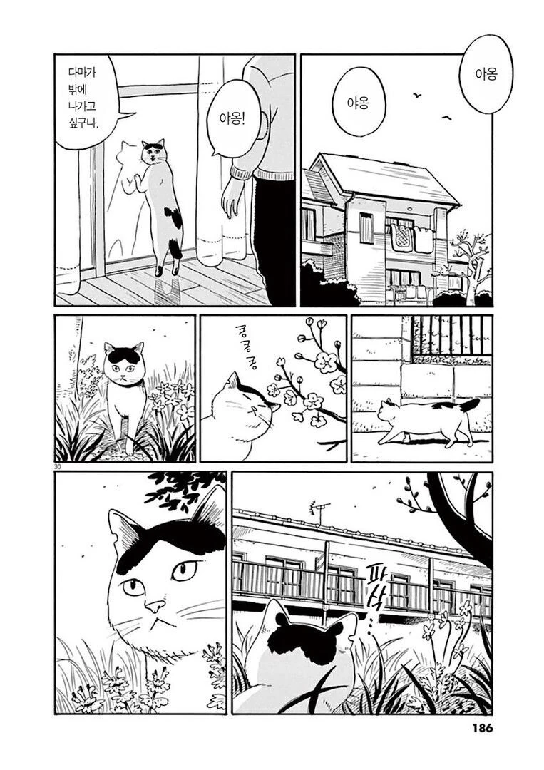 집고양이 분짱의 일년.manga - 이미지 30