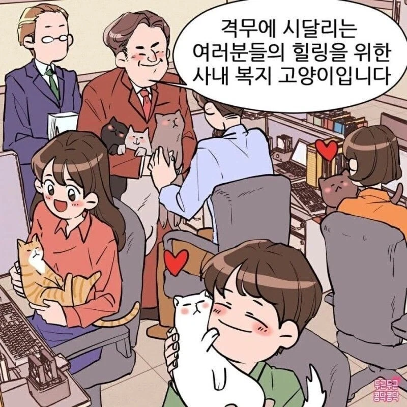 조금 수상한 고양이 메이드 만화 이미지 5