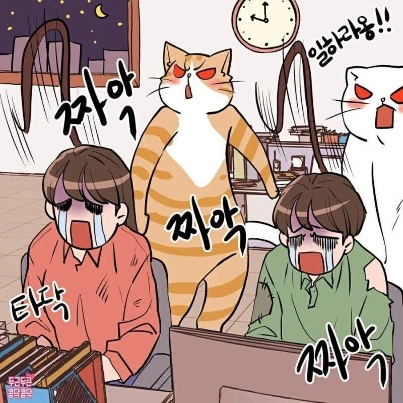사내복지고양이.manga - 이미지 7