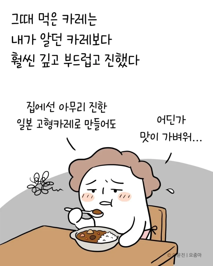 일본에서 오래전에 먹은 카레맛을 드디어 재현했다.manhwa - 이미지 4