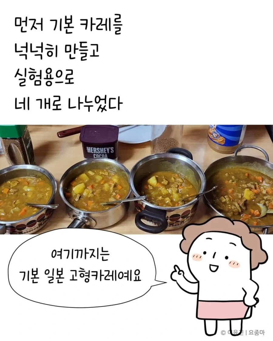 일본에서 오래전에 먹은 카레맛을 드디어 재현했다.manhwa - 이미지 8