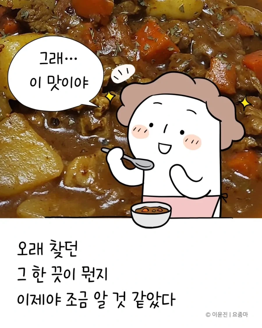 일본에서 오래전에 먹은 카레맛을 드디어 재현했다.manhwa - 이미지 15