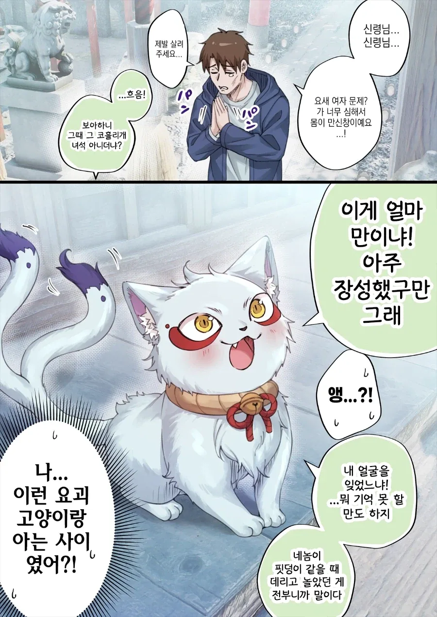 원피스]여미새지만 일의 중요도는 알고있는 상디 이미지 6