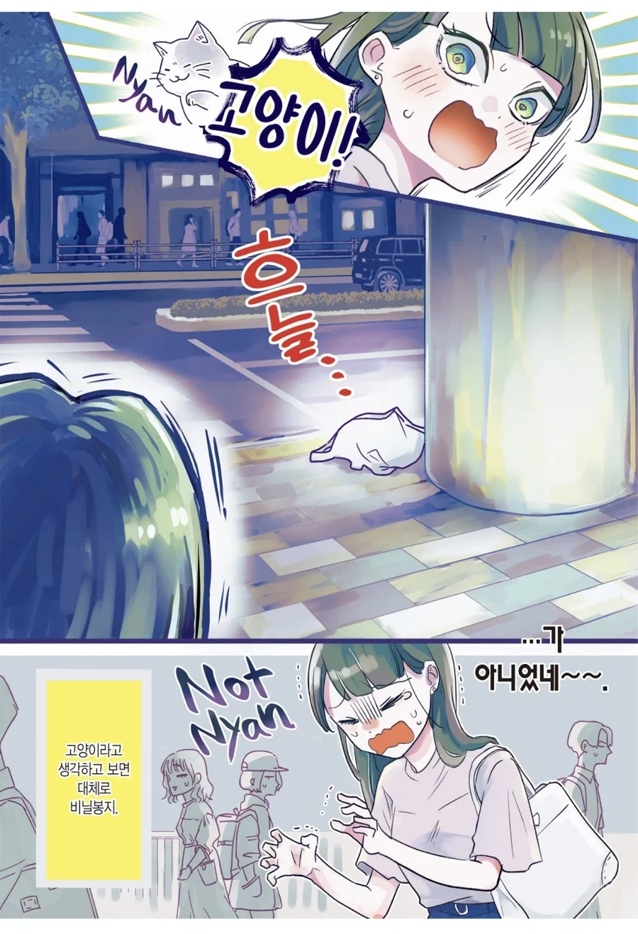 고양이를 키우지 못하는 집에서 고양이를 키우는 법 - 이미지 2