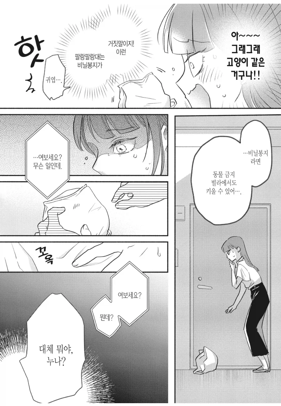 고양이를 키우지 못하는 집에서 고양이를 키우는 법 - 이미지 3