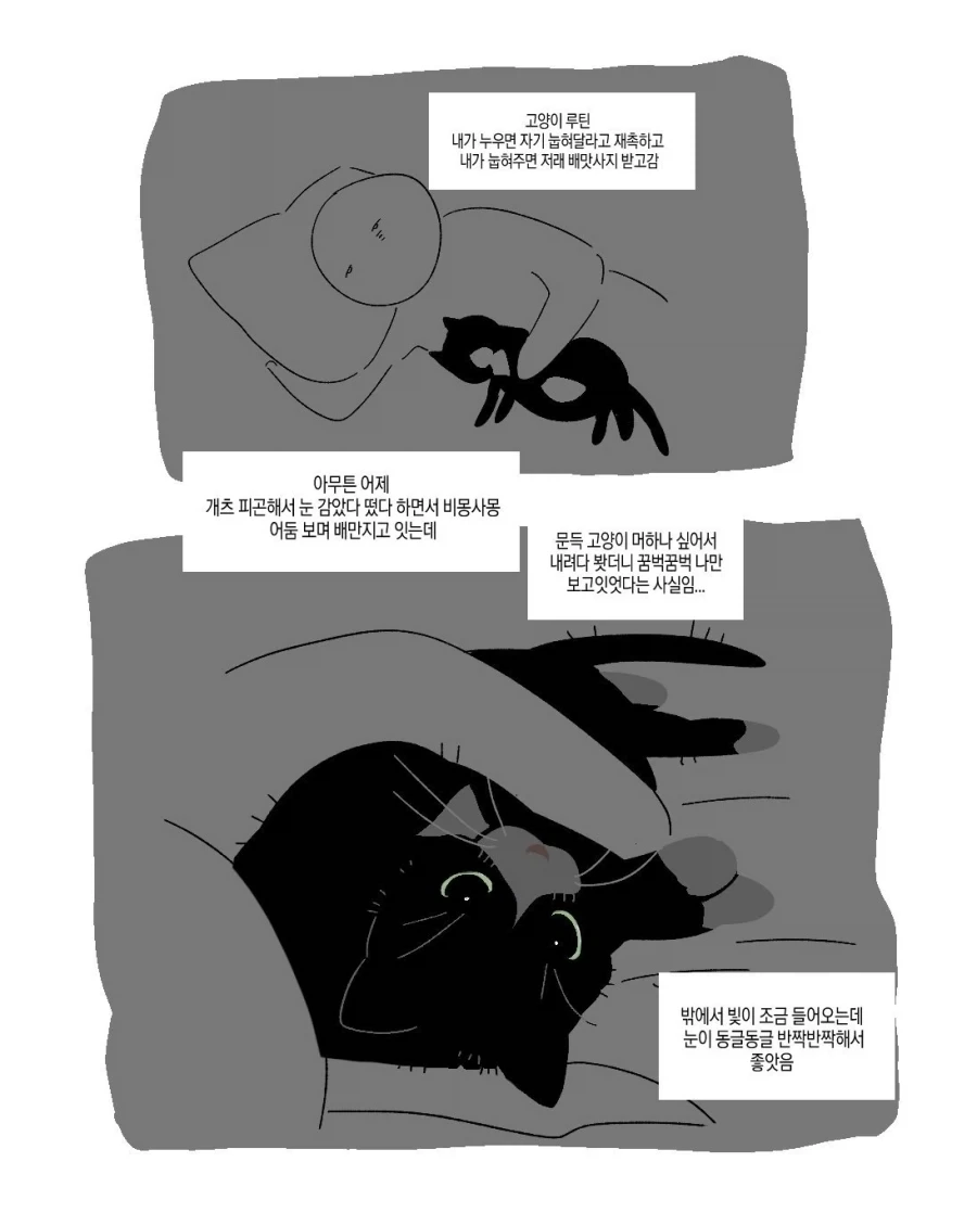 [만화] 백룸에 들어간 고양이 이미지 19