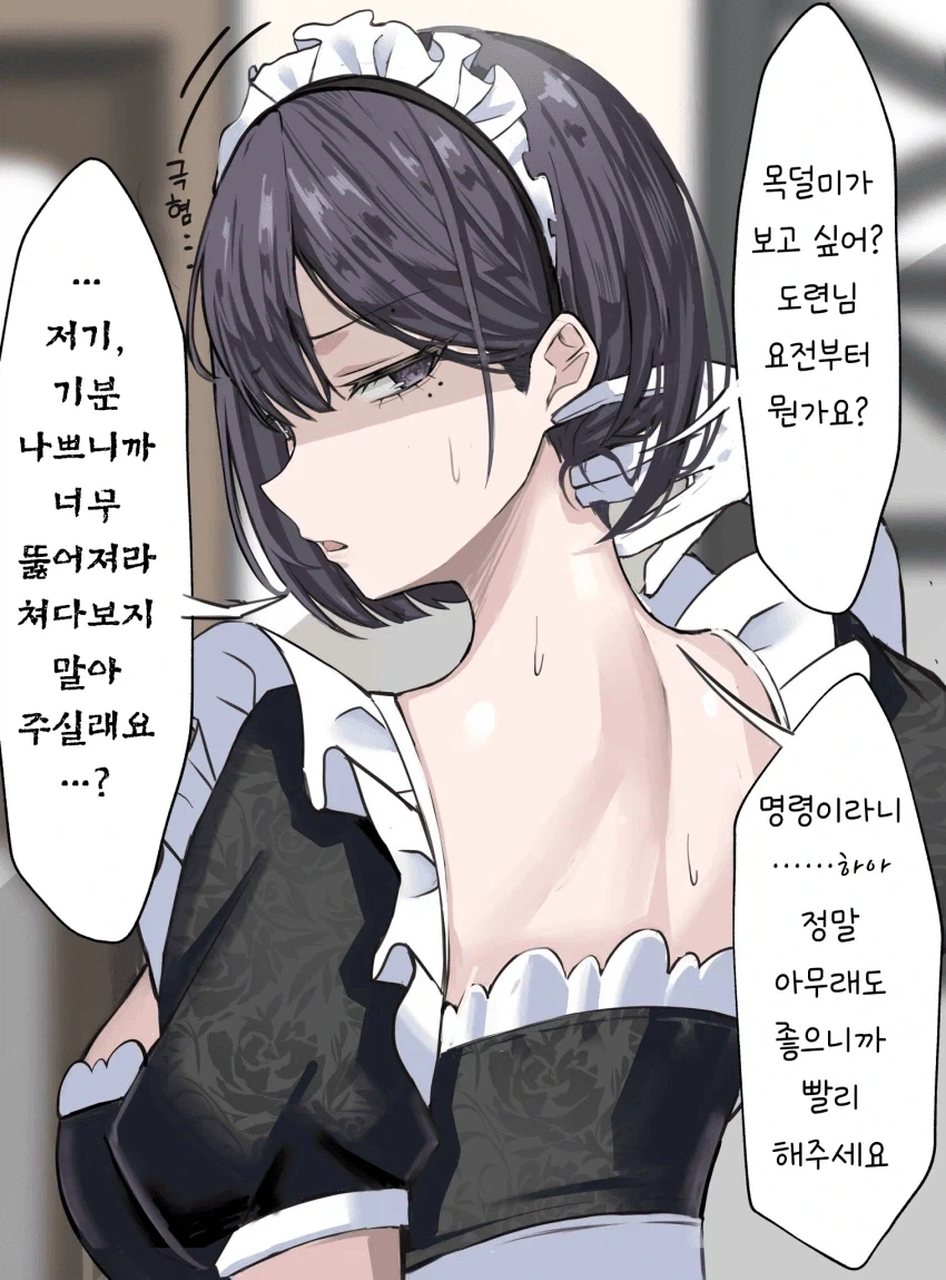 메이드 씨에게 명령해보았다 1~3화 - 이미지 3