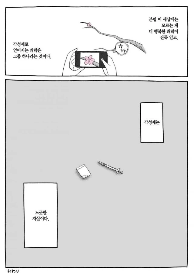 마.약이 어떤 약인지 알려주는 만화 - 이미지 11