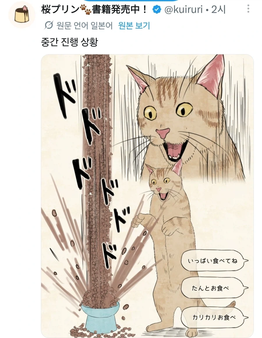 좋아요에 사료받는 고양이.jpg - 이미지 2