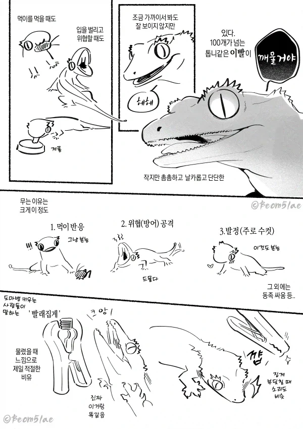 꿈을 피해 도망치는 도마뱀.manhwa 이미지 8