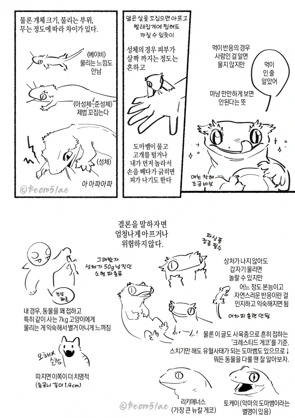 도마뱀한테 물리는 만화 - 이미지 2