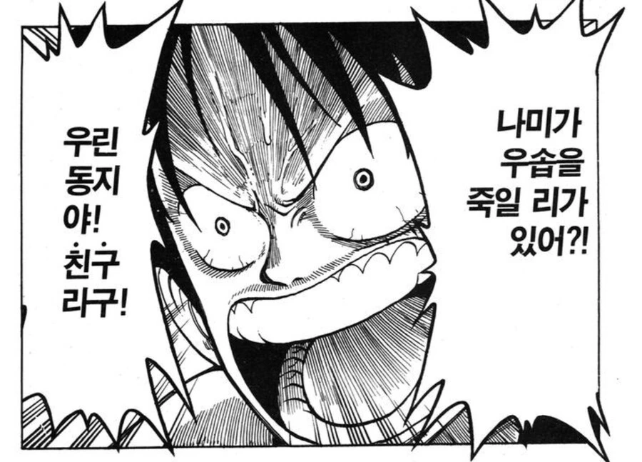원피스) 루피가 나미한테 통수 맞았을때 화조차 안낸 이유 - 이미지 11