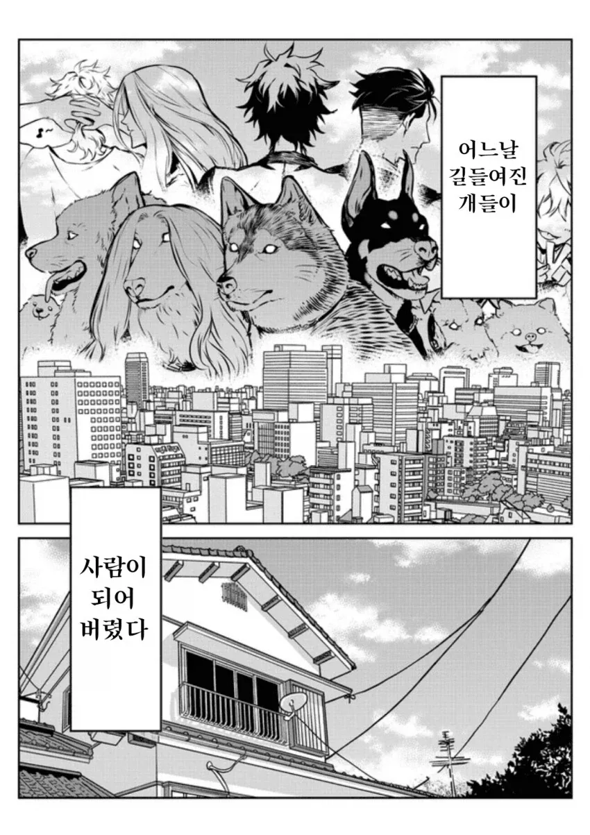 마지막으로 하나만 부탁드려도 될까요 - 전장의 꽃 이미지 24