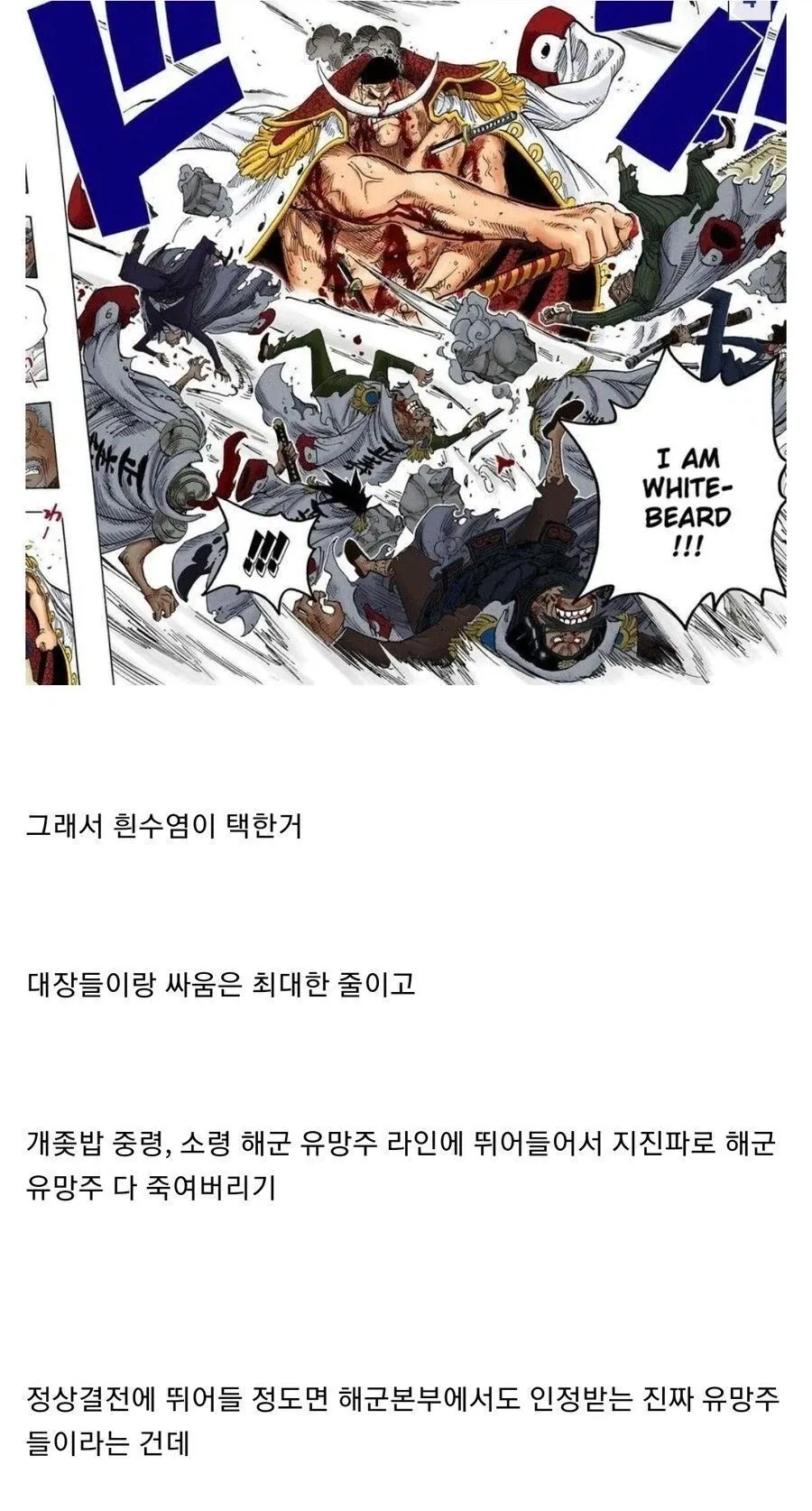 원피스) 오뎅:오~ 또 새로운 녀석이 왔구만? 이미지 9