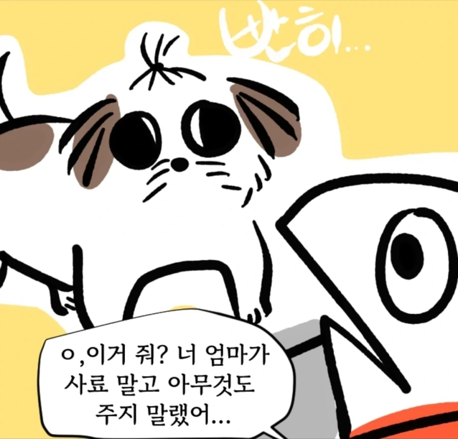 시츄는 얼마나 착한가 알아보는 만화 - 이미지 3