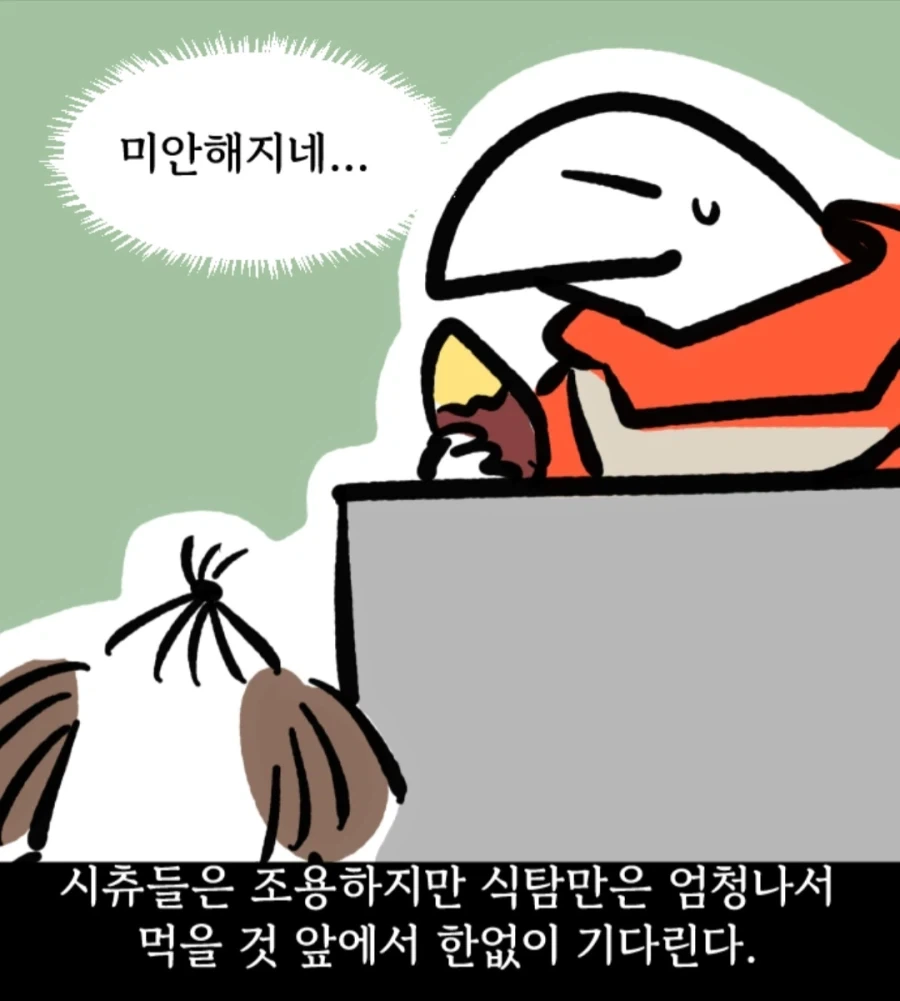 시츄는 얼마나 착한가 알아보는 만화 - 이미지 4