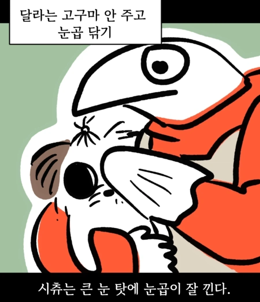 시츄는 얼마나 착한가 알아보는 만화 - 이미지 6