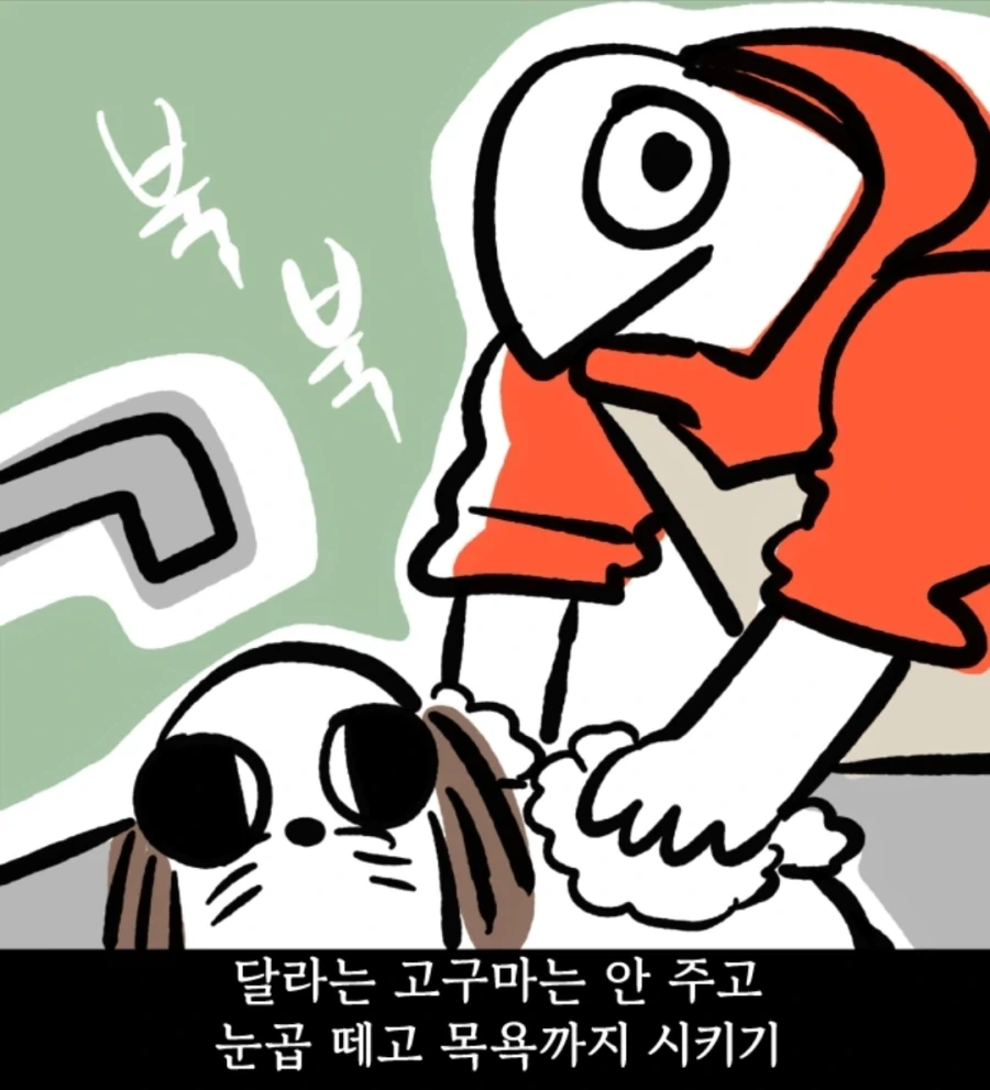시츄는 얼마나 착한가 알아보는 만화 - 이미지 8
