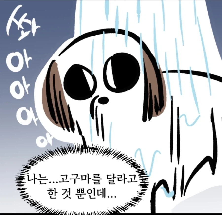 시츄는 얼마나 착한가 알아보는 만화 - 이미지 9