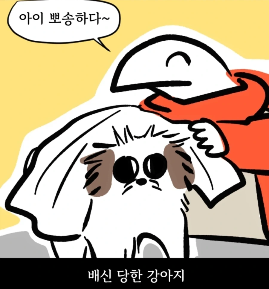 시츄는 얼마나 착한가 알아보는 만화 - 이미지 10