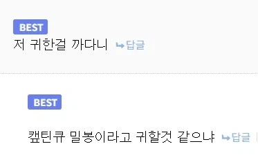 [와피스] "전설의 보물 와를 찾은 유튜버." - 이미지 2