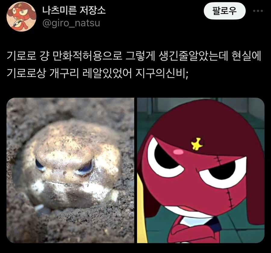 케로로 소대 만화 보면 느끼는 것.jpg 대표 이미지