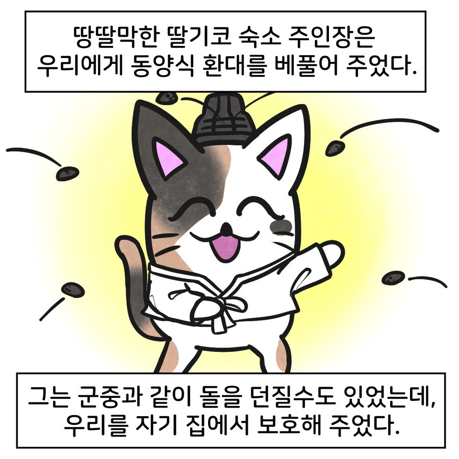 조선시대 대구에 온 외국인 만화..jpg - 이미지 7