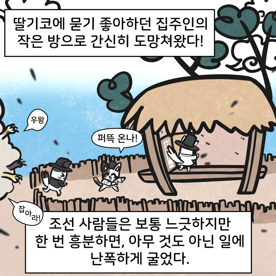 조선시대 대구에 온 외국인 만화..jpg - 이미지 14