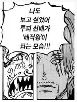 해발 23cm 이미지 2