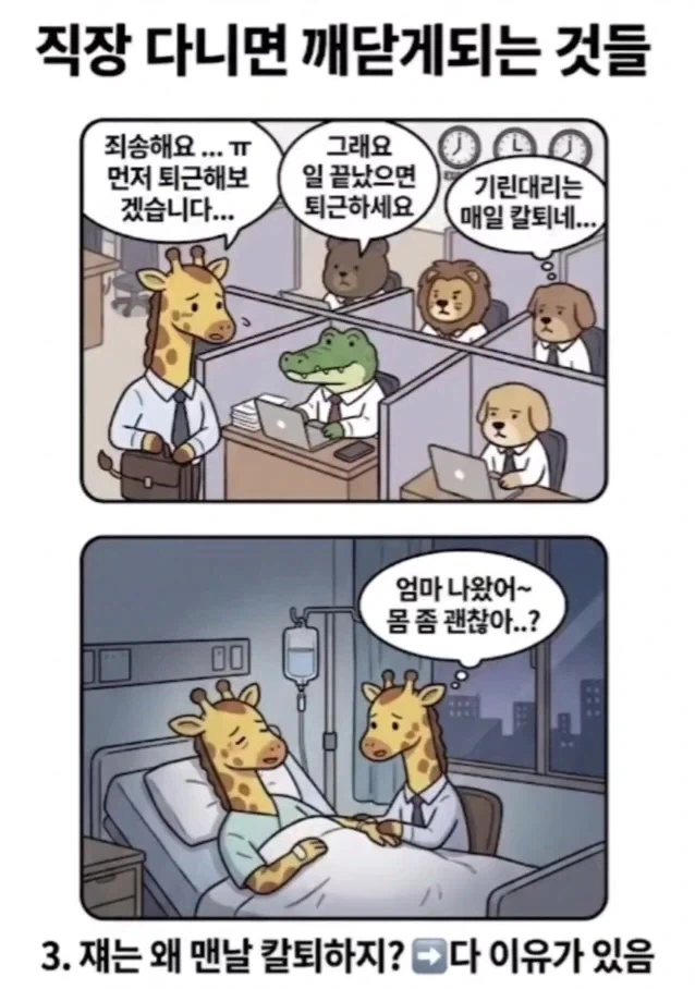 직장 다니면 깨닫게 되는 것들.manwha - 이미지 3
