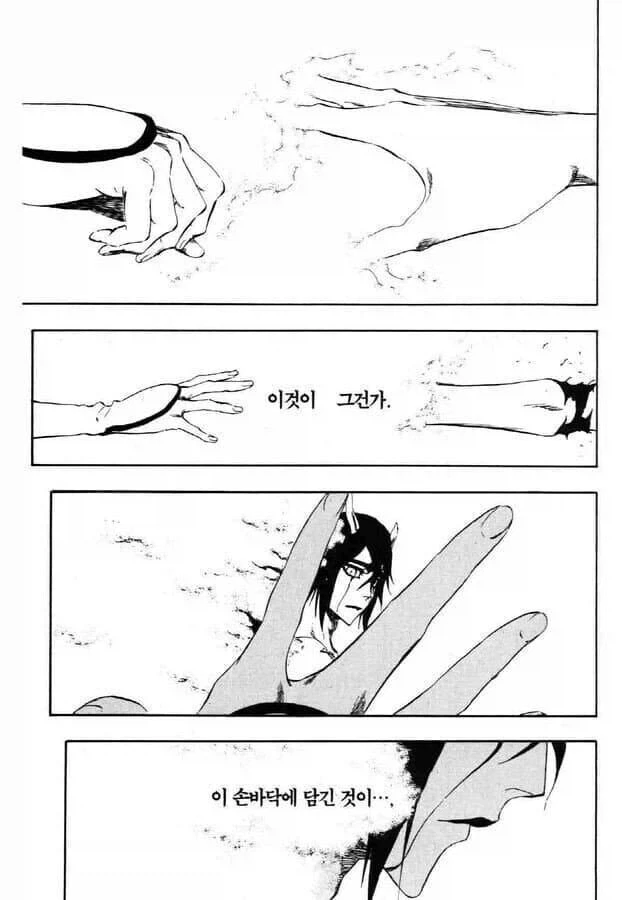 최소 한 달은 같이 있었던 듯한 아련한 블리치 장면 manhwa - 이미지 2