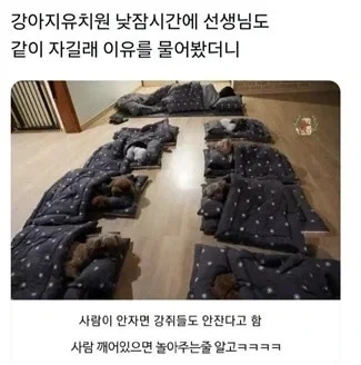 "한국을 좋아하는 일본만화작가가 한국어를 잘못 배운거같다" 이미지 10