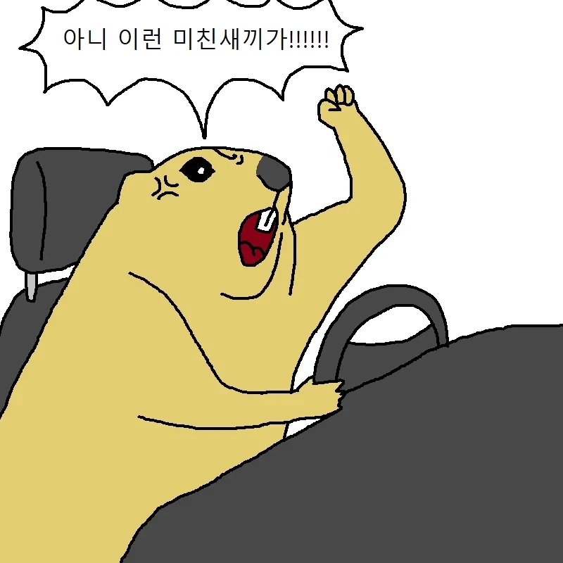 운전하다가 개빡치는 만화 - 이미지 14