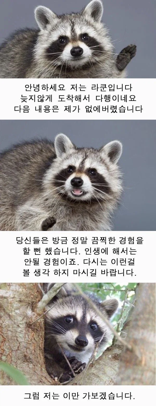 ㅈㄴ 끌리는 ㅇㄴㅅㅌ 망가 - 이미지 6