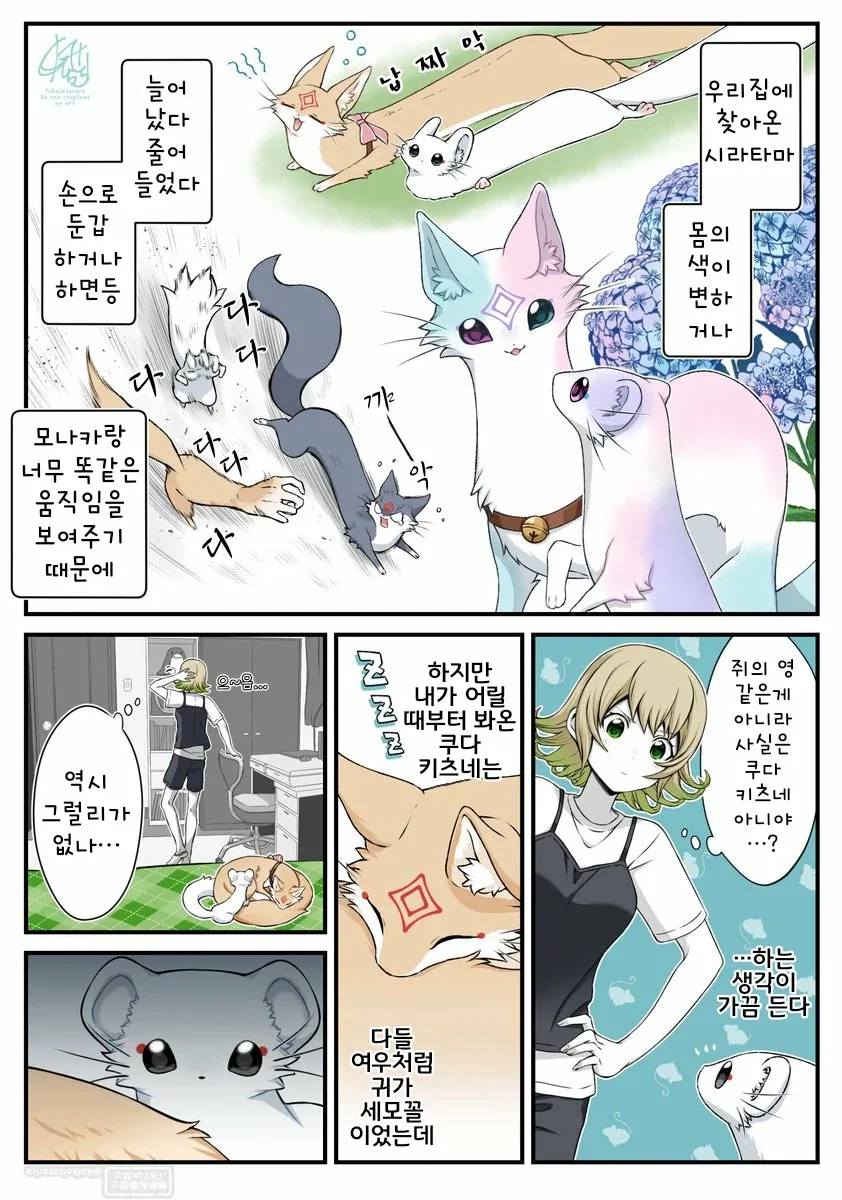 모습을 자유자재로 바꿀수있는 생선괴물의 한계 이미지 13