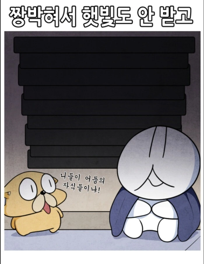 manga_774570_013_8ca0b9c5f81f.webp