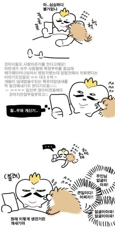 댕댕이를 키워야 하는 이유 manhwa