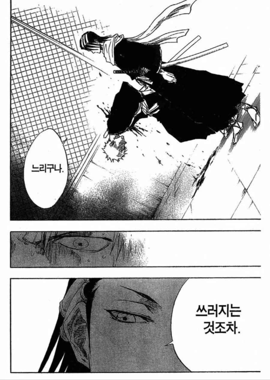 희대의 중2병 대사를 남긴 명작 만화.manwha