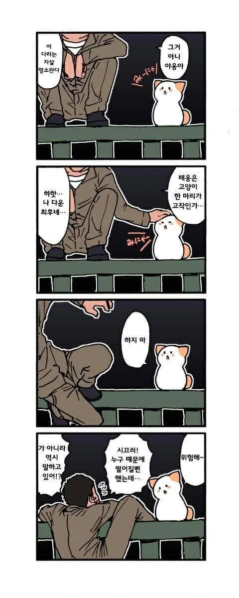 그저 고양이가 귀여운.manhwa - 이미지 2