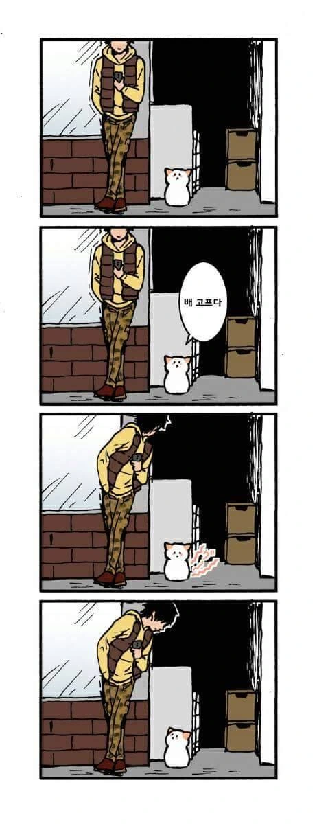 그저 고양이가 귀여운.manhwa - 이미지 4