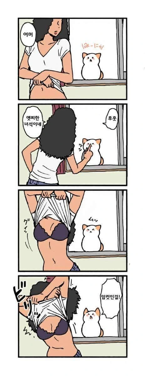 그저 고양이가 귀여운.manhwa - 이미지 5