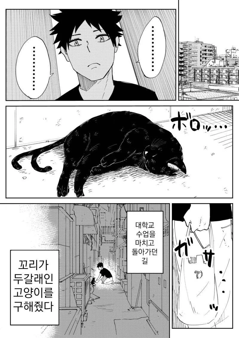 은혜갚은 고양이.manga