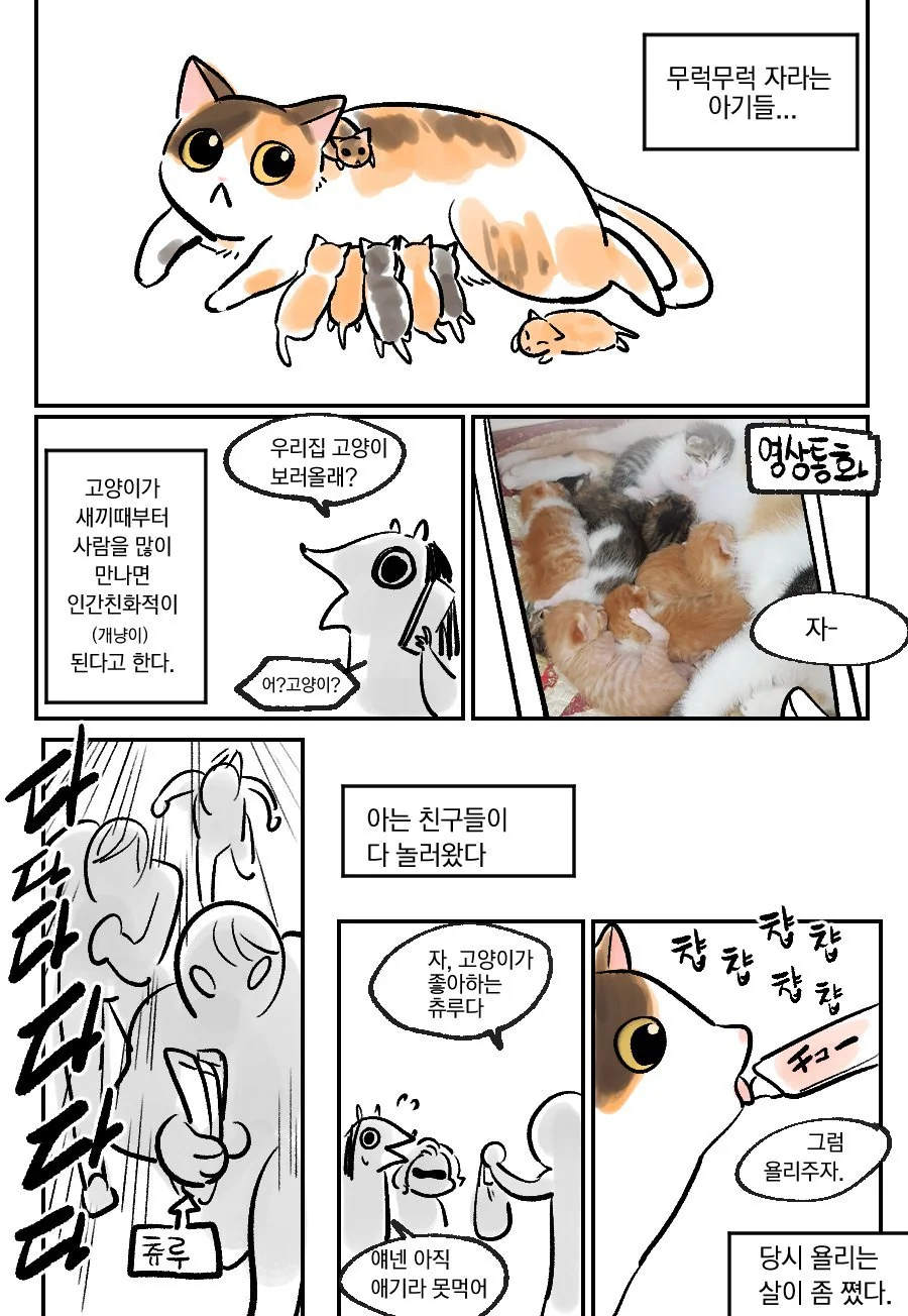 ㅅㅅ어필을 위해 갸루가 된 어자 이미지 11