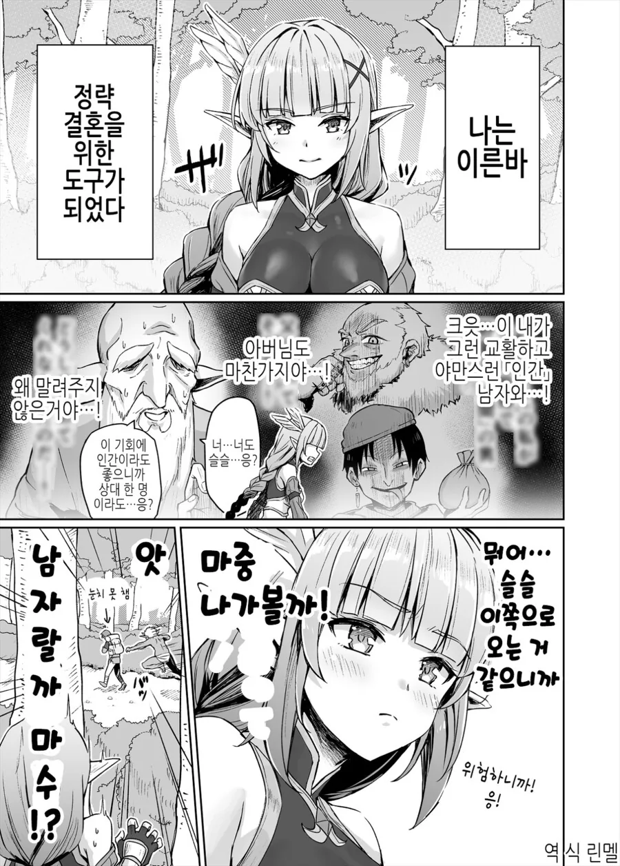 엘프와 정략결혼하는 만화 - 이미지 4
