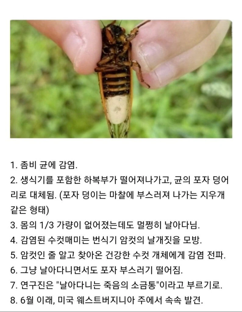 누나들에게 둘러싸인 남동생 대표 이미지