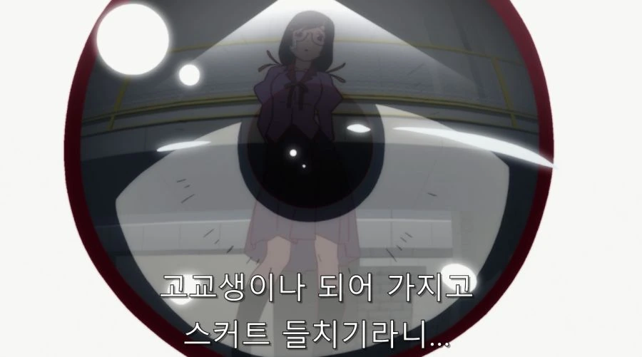 ㅎㅂ) 난 아라라기군 그런 부분이 좋아 - 이미지 9