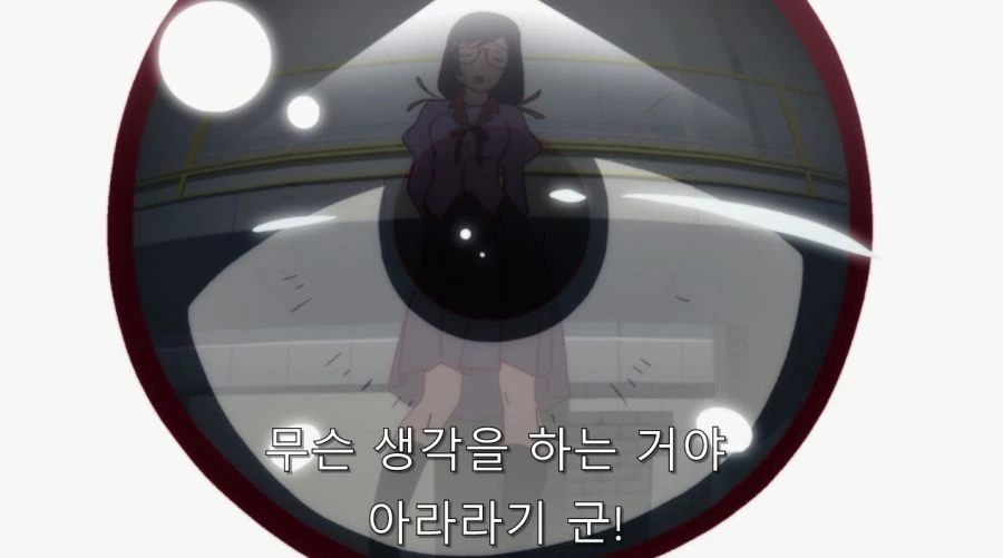 ㅎㅂ) 난 아라라기군 그런 부분이 좋아 - 이미지 10