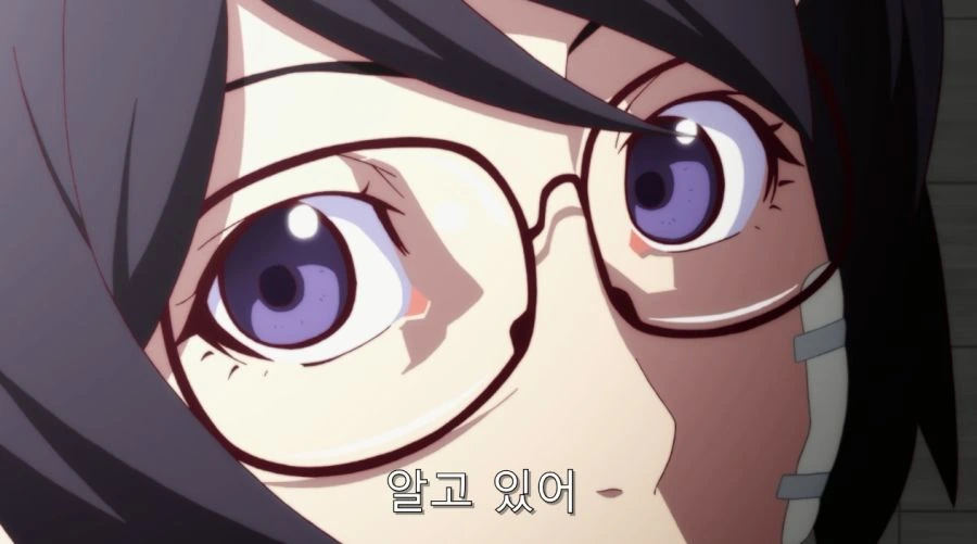 ㅎㅂ) 난 아라라기군 그런 부분이 좋아 - 이미지 12