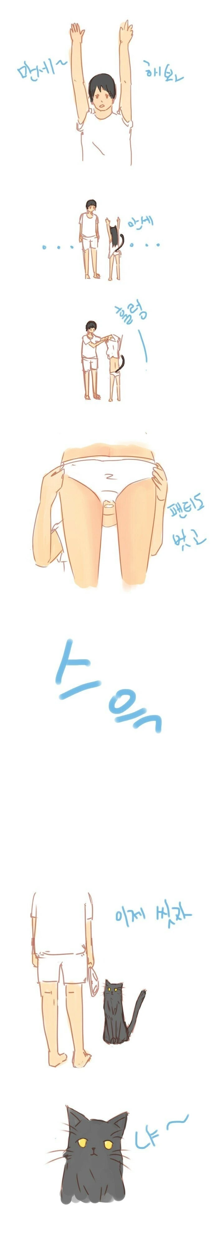ㅇㅎ) 고양이 목욕시키는 만화.manga - 이미지 3